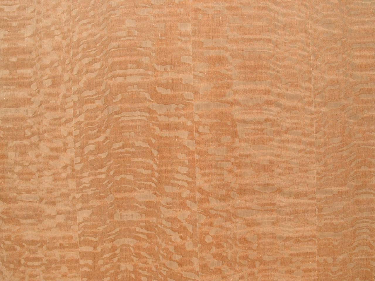 lacewood veneer